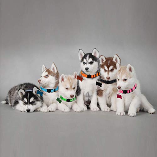 Banmoder 12 Puppy Collars For Litter Puppy Id Collars, Soft Nylon Breakaway Whelping Coloured Collars With 12 Id Tags #TOP5