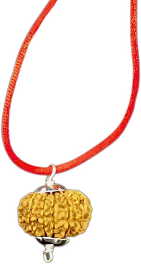 13 Mukhi Rudraksha du Népal Ganesha Arts perle bois naturelle contre le stress