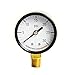 Interstate Pneumatics G2012-030 Pressure Gauge 30 PSI 2 Inch Diameter 1/4 Inch NPT Bottom Mount