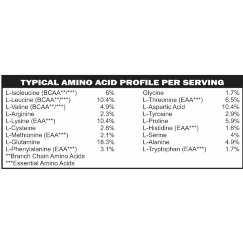 Casa de Sante Advanced Whey Protein Isolate Chocolate, GLP-1 Support, Low FODMAP, Gut Friendly Protein Powder with ProHydrolase Enzymes, Naturally Sweetened - 25g Protein - 13 oz - Thumbnail 4
