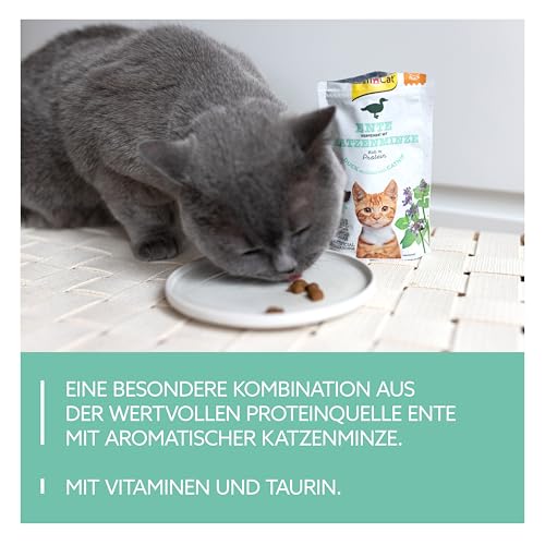 GimCat Crunchy Snacks Ente mit Katzenminze - Knuspriges und proteinreiches Katzenleckerli - 1 Beutel (1 x 140 g)
