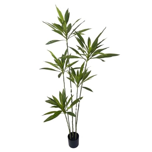 6 Ft Tall Artificial Cordyline Plant