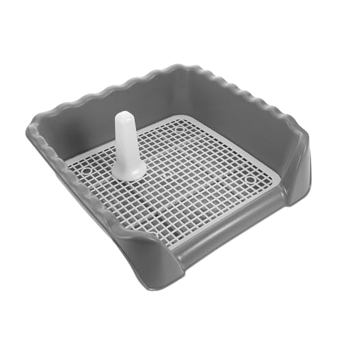 FUTUREORYY bVObht r  ̉pgCgCoRj[⎺