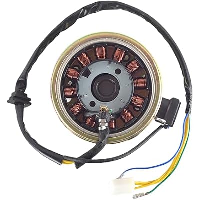Magneto Stator with Flywheel Rotor Kit 12 Coil 5 Wire Copper DC Stators for GY6 50cc 125cc 150cc 4 Stroke Moped Scooter ATV Quad Go Kart Scooter (GY6 12 Coils DC Stator Flywheel Rotor Kit)