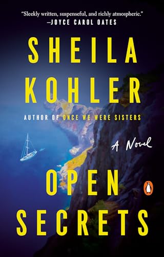 Open Secrets: A Novel view 2