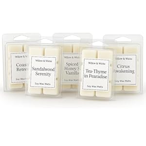 Willow & Wicks Relax & Restore Wax Melts – 5-Pack Clamshell Set | Calming Home Fragrance Gift | Sandalwood Serenity, Coastal Retreat, Tea-Thyme, Citrus Awakening, Spiced Honey & Vanilla
