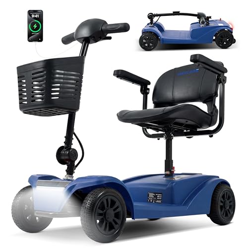 WayCare 15-25 Miles Long Range Mobility Scooter,Weight Capacity 300 LBS+ Powered Mobility Scooters for Seniors, Compact Duty Mobile for Travel with LED Headlight and Detachable Basket(Blue)