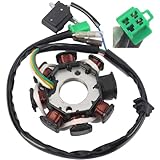 YINNCKE Magneto Ignition Stator 5 wire DC 8 Pole Fits For GY6 engine GY6 49cc 50cc 80cc 100cc 125cc 150cc to 180cc Scooter Moped ATV Sunl Roketa Dune Buggy Go Kart TaoTao Buyang Coolsport Kazuma
