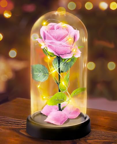 Rosa Eterna Regalo de San Valentín para Ella Mujeres,Regalo de