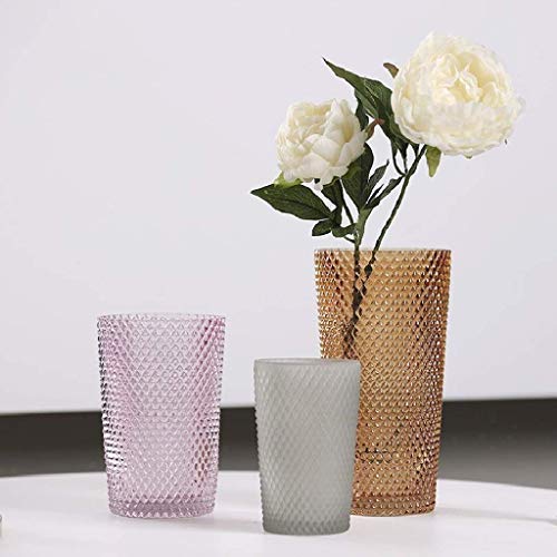 Home Simplicity Vases Creative Handmade Transparent Glass Small Simple Modern Polka Dot Rhombus Hydroponic Green Glass Home Accessories, Lsxysp, A, A (C C) #TOP1