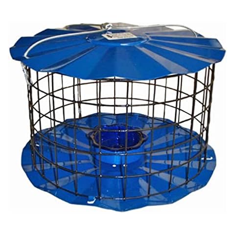 Erva Bluebird Feeder with Meal Worm Cup Cover