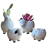 Juego de 4 macetas de tamaño pequeño: este juego de cuatro macetas incluye animales de granja de una variedad de tamaños. La maceta de vaca mide 9 cm de altura y 12 cm de largo. La maceta de cerdo mide 7 cm de altura y 10 cm de largo. La maceta de ovejas mide 8 cm de altura y 11 cm de largo. La maceta de alpaca o maceta de llama mide 13 cm de altura y 11 cm de longitud. Todas las macetas tienen un diámetro interno de aproximadamente 6 cm, ideal para suculentas o como maceta de cactus