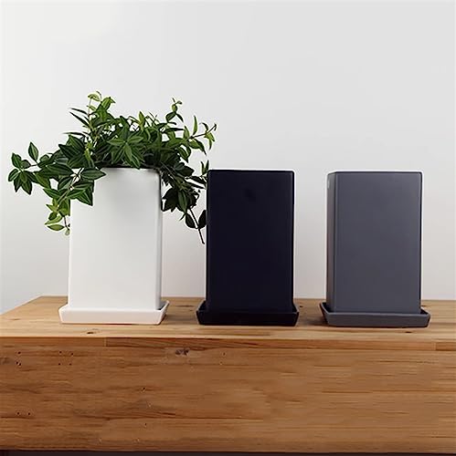 Pot de fleur noir mat en céramique pour protéger vos plantes vertes