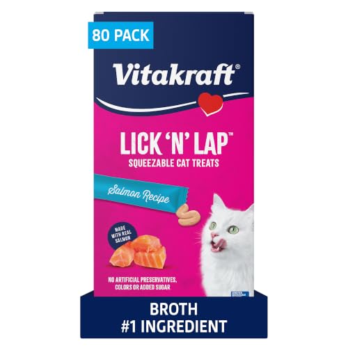 What can i give my cat for tooth pain relief