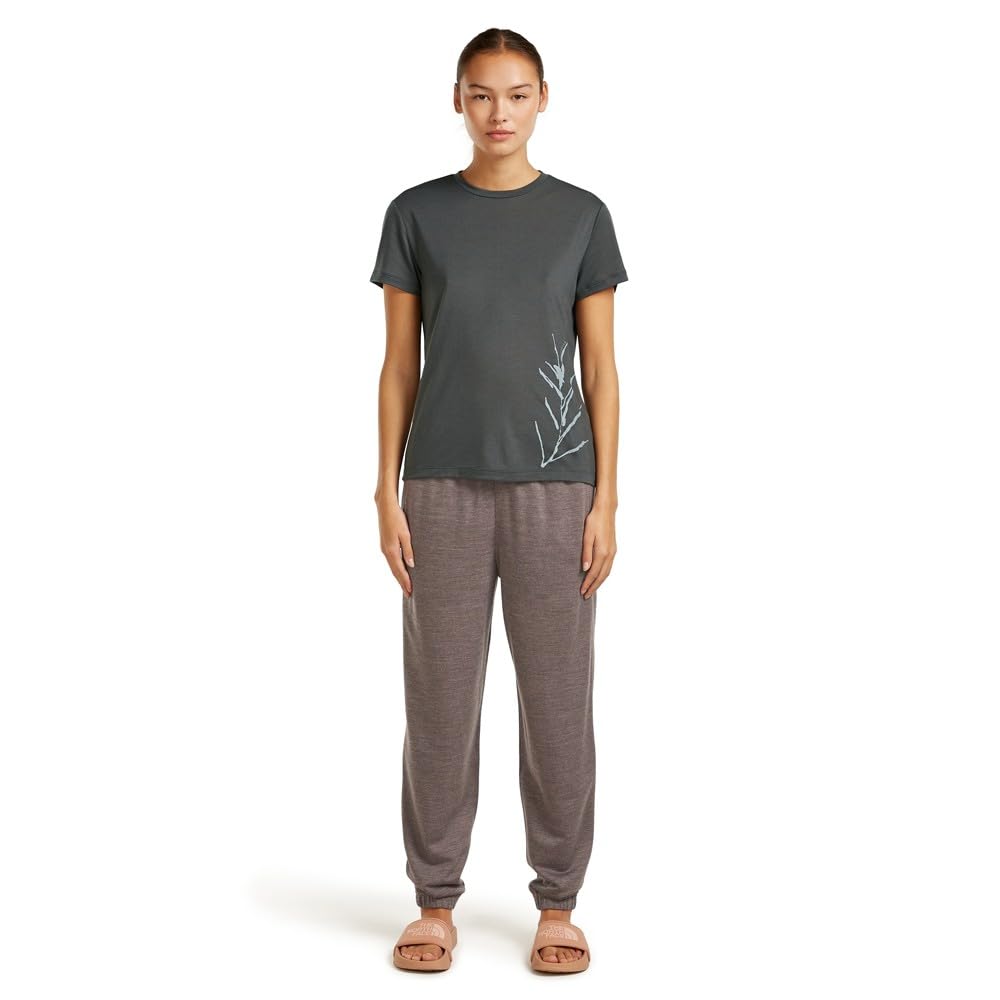 ICEBREAKER Merino Core Panax Short Sleeve T-Shirt M