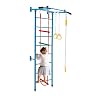 LIFEZEAL 4-in-1 Wall Rung Set Children's Climbing Ladder with Pull-Up Bar & Rings & Rope Ladder & Swings Metal Climbing Wall for Children's Room Climbing Frame Gym Wall from 3 Years Style 1