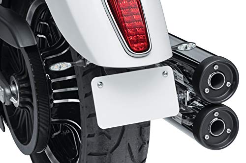 Custom Rear Turn Signal & License Plate Mount for Scout