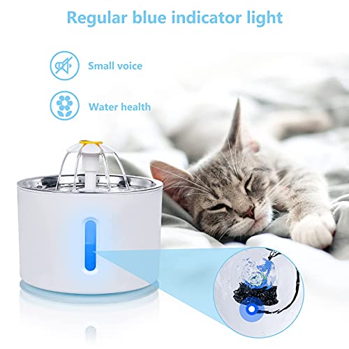https://m.media-amazon.com/images/I/41eiCuuLSYS._SL500_.jpg