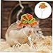 GANAZONO Mini Hamster Hat with Adjustable Strap Hand Knitted Tiny Pet Hat for Small Animals Cute Costume Accessory for Reptiles and for Photoshoots and Parties