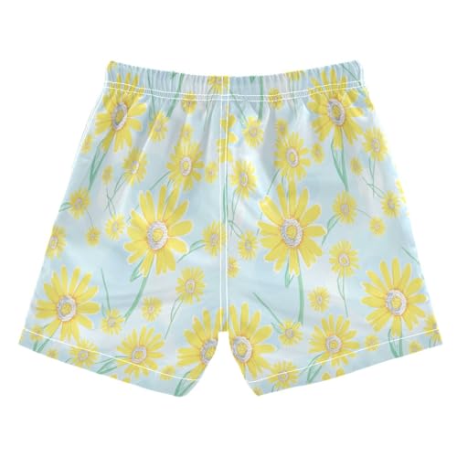 Boys' Swim Shorts & Trunks, Anti Chafe Swim Trunks for Boys 2 T, Yellow Daisy Flowers Light Blue2