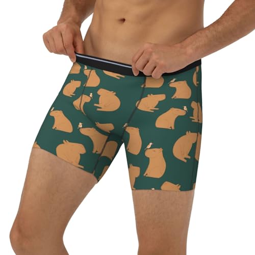 Mens Underwear - Birds Capybaras Boxer Briefs for Men Pack, Mens Boxer Briefs2