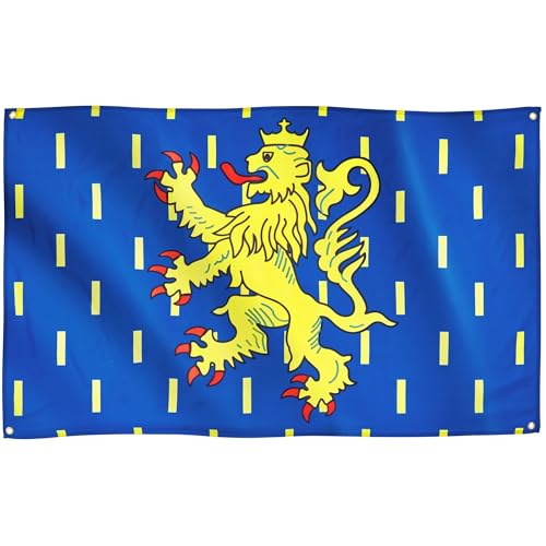 Runesol Drapeau Franche- Comté, 91x152cm, 3ft x 5ft, 4 œillets, œillet dans chaque coin, drapeaux de qualité supérieure, Lion d’or couronné, bourgogne, intérieur, extérieur, couleurs vives