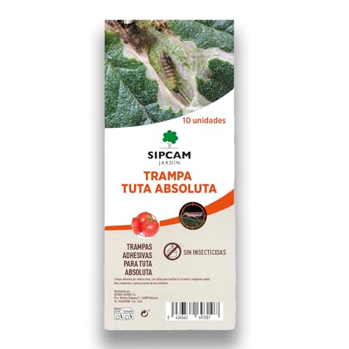 Nexum Market Trampas Tuta Absoluta (10 Unidades) para Tomates, Pimientos, Berenjenas y demás Cultivos de Huerto Muy EFECTIVAS | Sin Insecticidas, Sin Químicos y Ecológicas | Trampas Cromáticas