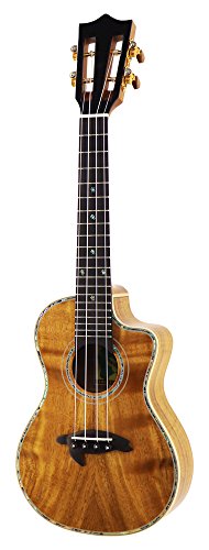 Big Island Ukulele KSX Deluxe HONU Slotted Series RT[g tChnCARAP Jb^EFCt KSX-CTG