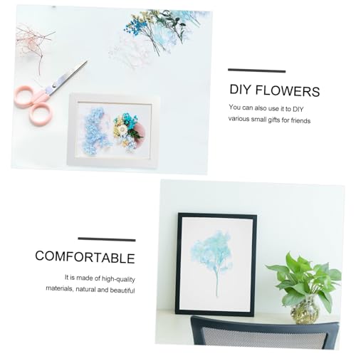 Kit DIY de flores secas prensadas para manualidades miniatura 6