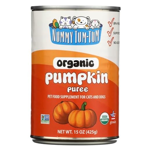 Nummy Tum Tum Organic Pumpkin Puree