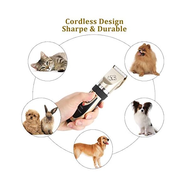 Ceenwes Cat Clipper Low Noise Pet Clippers Rechargeable Trimmer Cordless Pet Grooming Tool Professional Horses Hair Trimmer with Comb Guides Scissors Nail Kits for Cats Dogs Horses & Other Hairy Animals Ceenwes Cat Clipper Low Noise Pet Clippers Rechargeable Trimmer Cordless Pet Grooming Tool Professional Horses Hair Trimmer with Comb Guides Scissors Nail Kits for Cats Dogs Horses & Other Hairy Animals