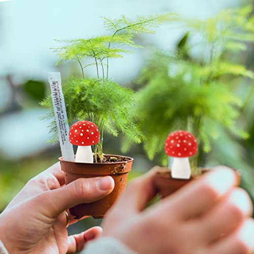 Jojofuny Mini Wood Mushroom Figurines Christmas Fairy Garden Accessories Red Mushroom Figure Resin Miniature Garden Micro Landscape Fairy Outdoor Garden Plant Pot Craft 6.5X4.5X4.5 #TOP4