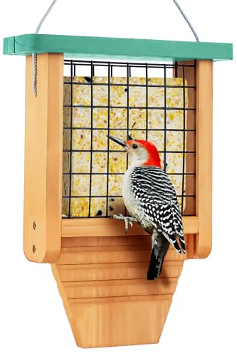 Gbekery Wooden Suet Bird Feeder for Outside Hanging Woodpecker Suet Feeder with Tail Prop Hanging Bird Feeder for Wild Birds 1 Pack Green