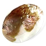 [GOLD STONE] ホワイトセージの浄化 お清め お守り 開運 開運グッズ 浄化用 皿 貝殻 小物入れ オーストラリア産 イケチョウ貝 パールシェル