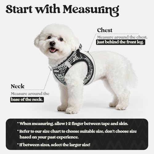 Image of rabbitgoo Dog Harness Small Sized and Leash Set, Step-in Puppy Pet Vest
