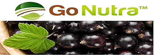 Black Currant Juice Powder Ribes Nigrum 1Lb Antioxident Anthocyanin #TOP2