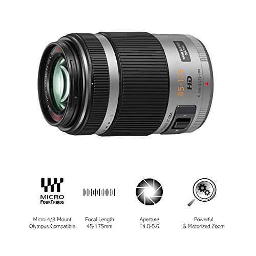Objetivo Panasonic H-PS45175E-S 45-175mm negro - Fernando Cortés