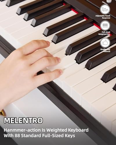 Professional 88-Key Weighted Hammer Action Digital Piano