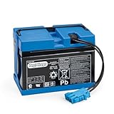 PEG Batterie 12V/12Ah - Pièce de Rechange Originale Rechargeable pour Véhicules Électriques Peg Perego