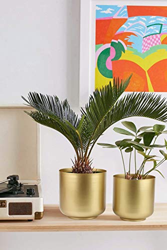 Vixdonos VOX20210325-GOLD Large Gold Planters Metal Aloe Brass-Tone Plant Pots Indoor Decorative Flower Pots thumb #4