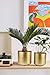 Vixdonos Large Gold Planters Metal Aloe Brass-Tone Plant Pots Indoor Decorative Flower Pots with Drain Holes(8+7.1Inch)