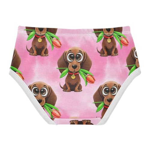 Cute Dachshunds Toddler Girls Underwear 2t Cotton Panties for Girl Personalized Underpants Briefs2