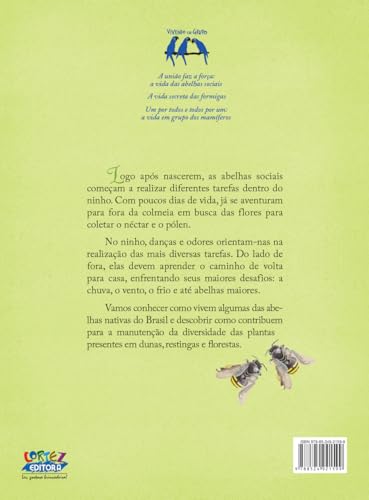 A União faz a força: a vida das abelhas sociais