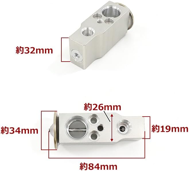 ルー・タイス×苫米地英人 スーパーライブ´08