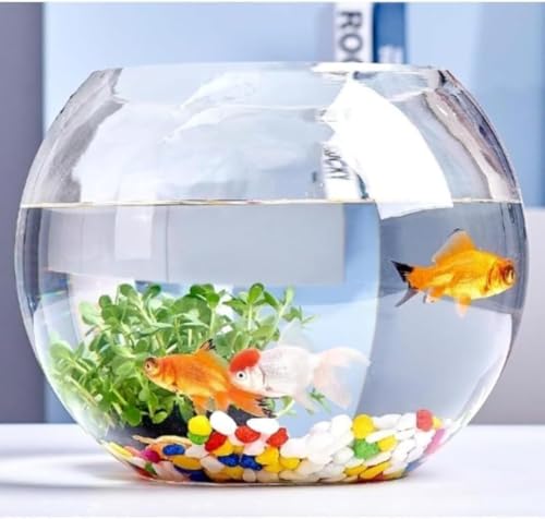 AOBOPO ^KX GR^[gΉ ~`~jr[ ANAA@\t ItBXfXNgbvErO[p ɍœK CeAɂK RpNgTCYŏꏊ炸 ̖ԍɖ𗧂 pƑ