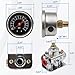 RYLNOK Fuel Pressure Regulator Zinc Alloy Carburetor Fuel Valve 12-804 1-4 PSI Fuel gauge Carburetor Parts