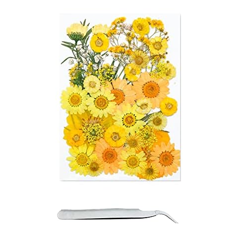 Cayway 40 Pcs Pressed Flowers Set with Tweezers Cover