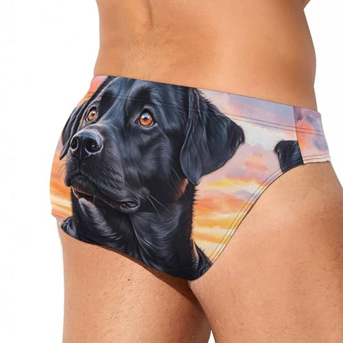 Black German Shepherd Dog Sunset Mens Swim Briefs Quick Dry Triangle Trunks Swimsuit Swimming Bikini Swimwear3