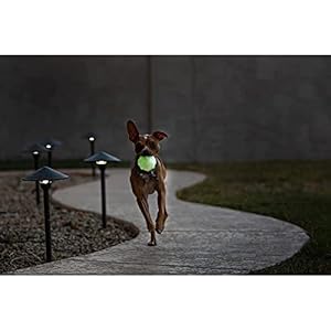 Jolly pets orange jolly jumper ball dog toy 3 in  urban country home decor