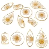Craftora 8 dijes de resina de flores secas, colgantes de margaritas prensadas, forma de lágrima, planos, redondos, interiores, colgantes florales para collares, aretes, joyería, manualidades